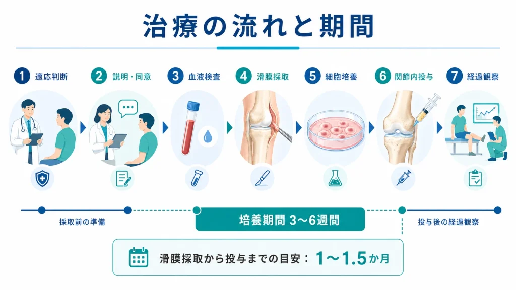 滑膜由来幹細胞治療の適応判断から滑膜採取・培養・投与・経過観察までの流れ