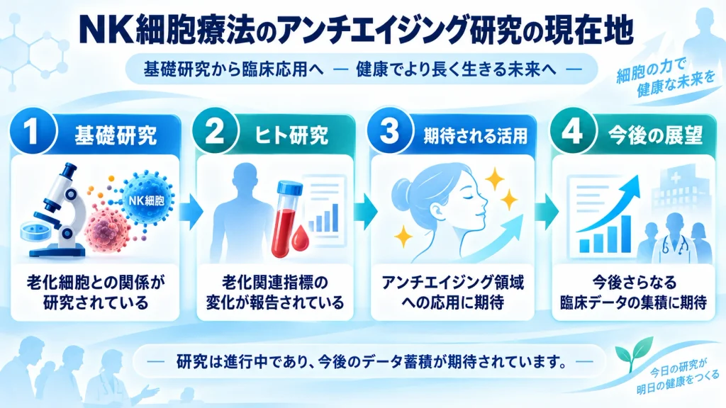 NK細胞療法のアンチエイジング研究の現在地と今後の展望を示した図解