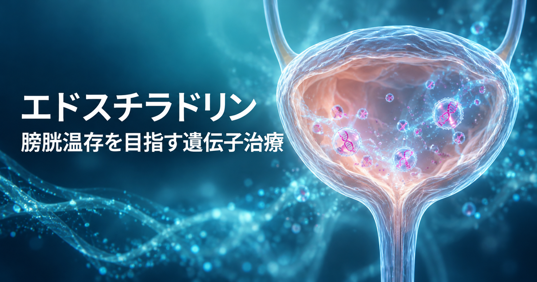エドスチラドリンによる高リスク筋層非浸潤性膀胱がんの遺伝子治療